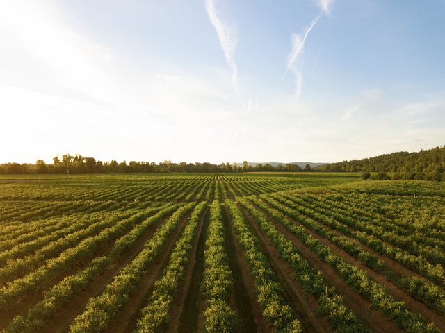 Shaping agricultural policy