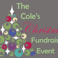 Cole Museum xmas fayre small