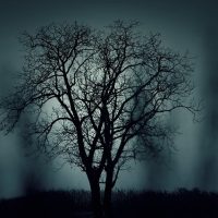 Special Collections show their spooky side for Halloween