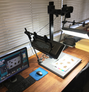 Digitising