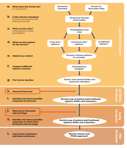Flow chart showing the 12 PICSA steps
