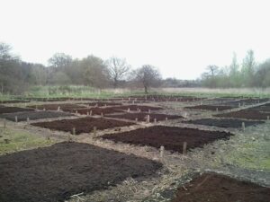 Plots of soil marked out with short wooden stakes. Grass and trees are visible in the background.