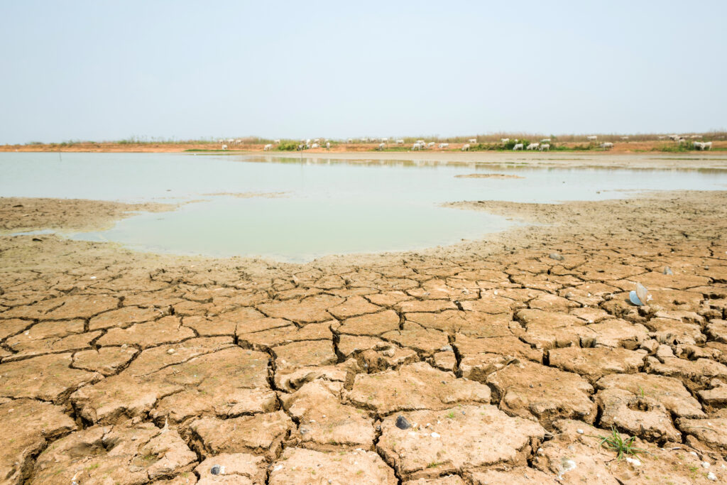 cracked soil in the bottom of a river showing drought