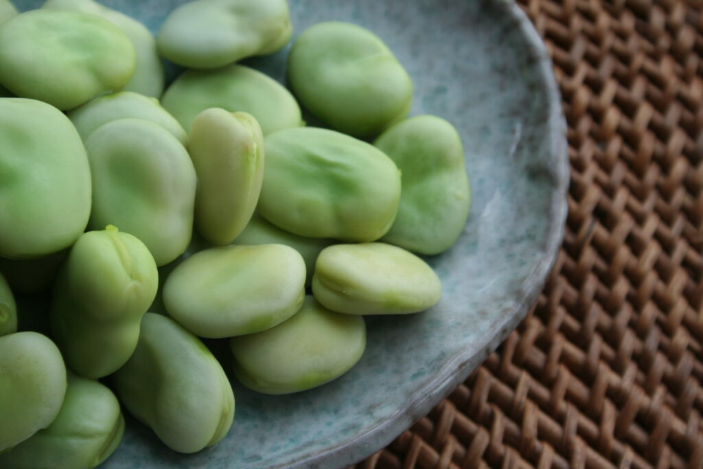 cooked broad beans on a plate