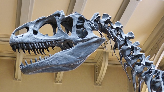 Reading research could shed light on how dinosaurs got so big.